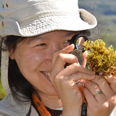 Claudine Ah-Peng, scientifique observant une mousse