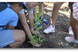 Plantation encadrée par un agent du Parc