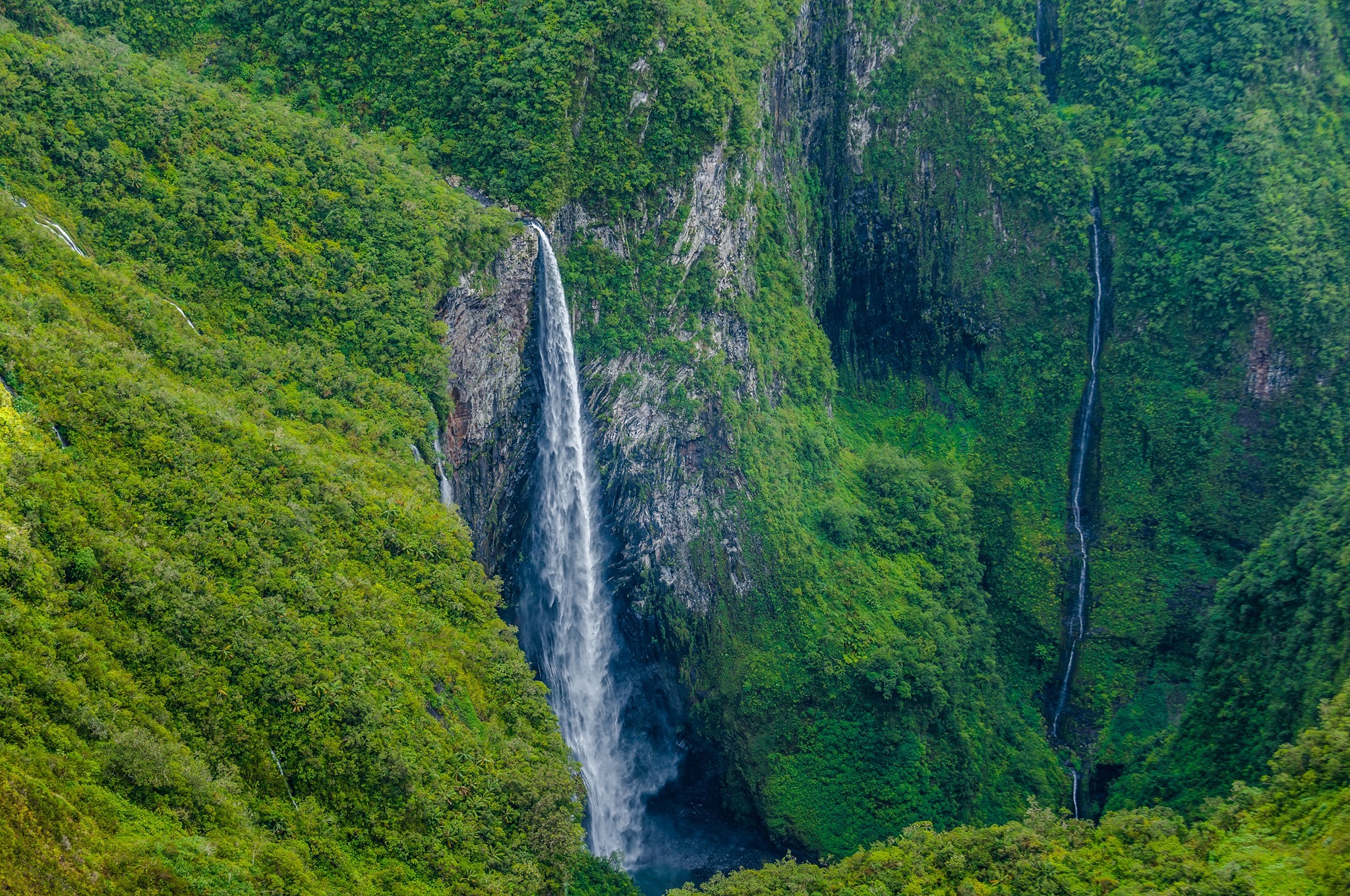 RDV du Parc Découvrez le Trou de fer ! Parc national de la Réunion RDV du Parc Découvrez le Trou de fer ! Parc national de la Réunion