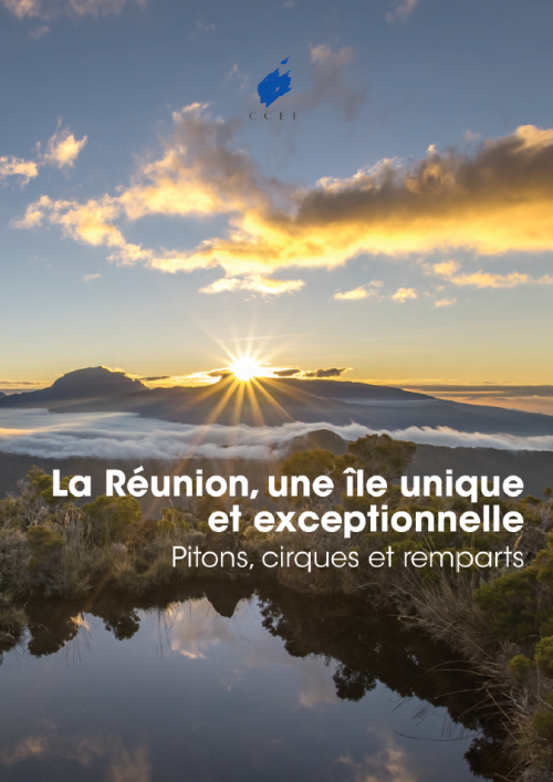 la_reunion_terre_dexceptions.png