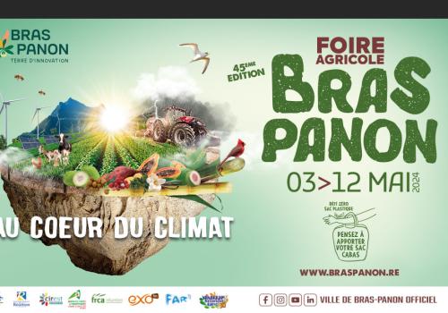 Foire agricole de Bras Panon