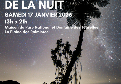 Jours de la Nuit