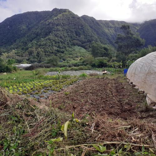 Accompagnement des agriculteurs pour la mobilisation des MAEC 