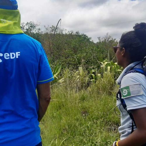 Coopération avec les équipes EDF sur le sentier des anglais ©Parc national de La Réunion