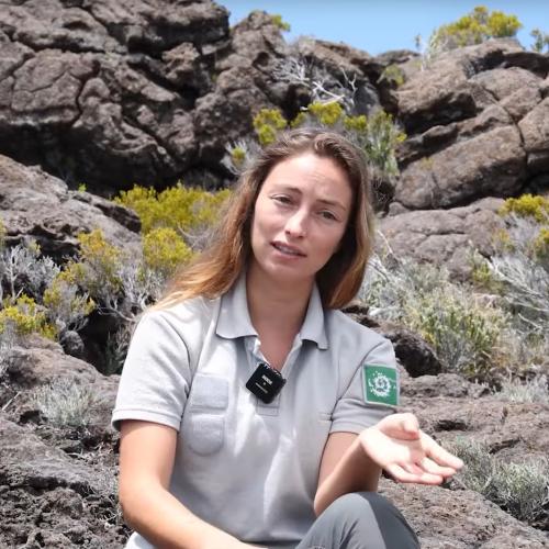 Margot Caubit - Chargée de mission du Parc national de La Réunion - Crédit ONF Réunion
