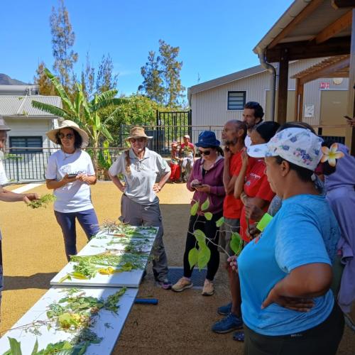 Ilet Dan Kerr Mafate