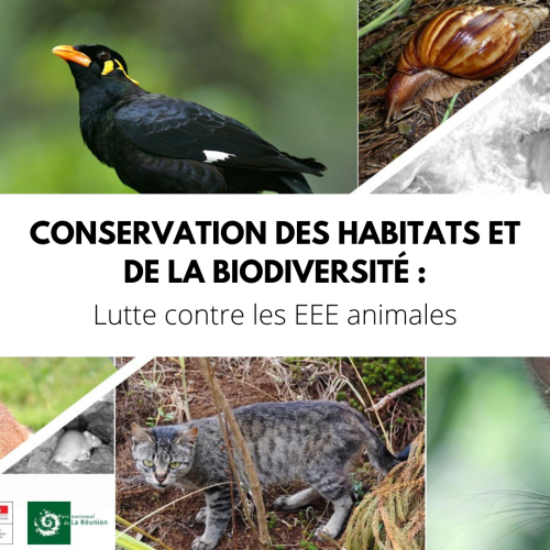 conservation_des_habitats_et_de_la_biodiversite_lutte_contre_les_eee_animales.png
