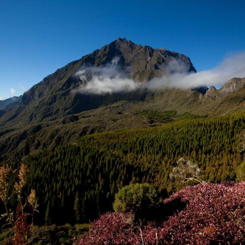 Col des Boeufs 