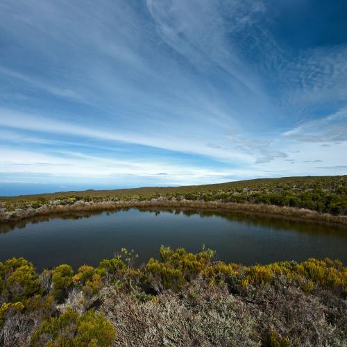 Piton de l'eau (Foc-foc)