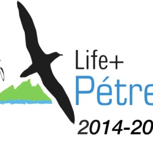 Présentation du projet Life + Pétrels