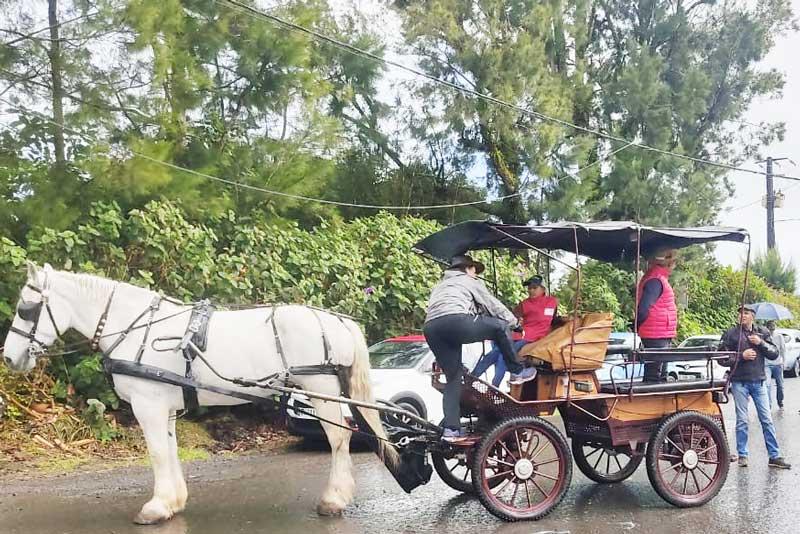 Balade commentée en calèche sur le site de Beaumont