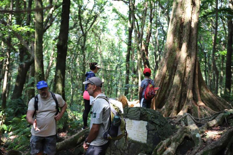 Échanges avec les agents du Parc national en forêt de Mare-Longue 