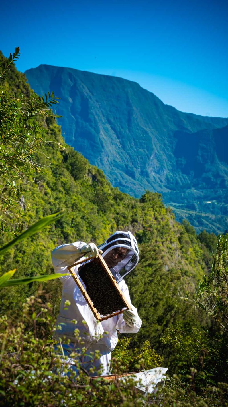 Apiculture-J.Lalemandl©Le Bon Zest – OFB_2023