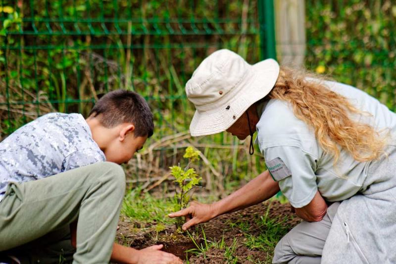 Plantation d'espèces endémiques et indigènes 