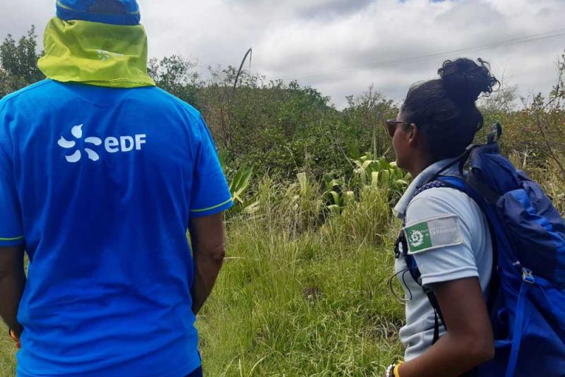 Coopération avec les équipes EDF sur le sentier des anglais ©Parc national de La Réunion