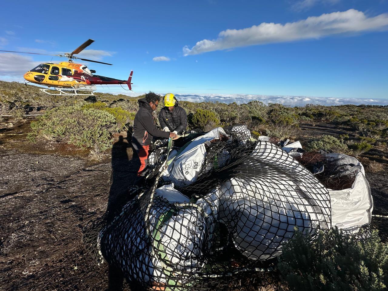 Ramassage des déchets de grillage à Roche Ecrite