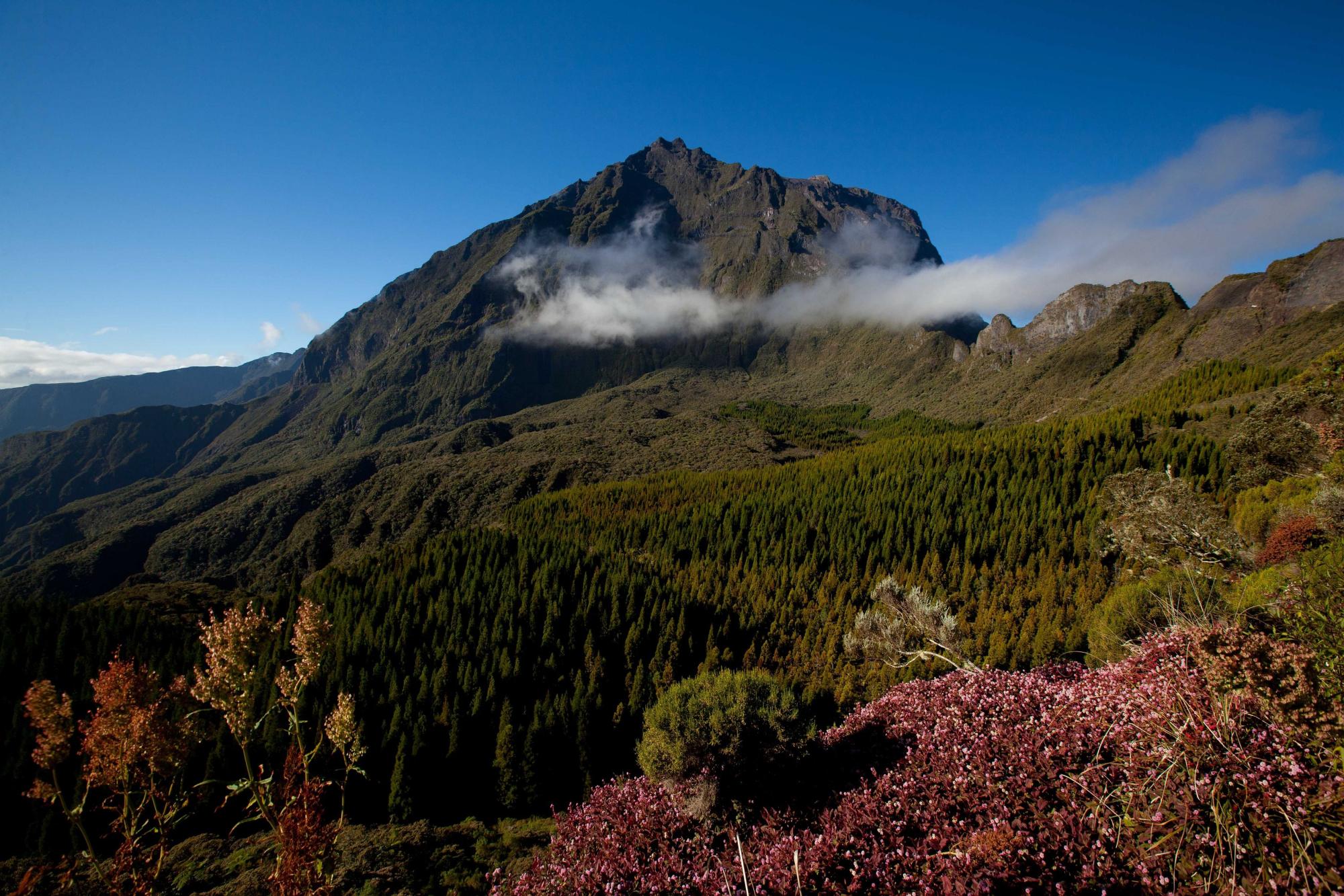 Col des Boeufs 