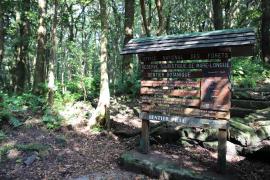 Lutte contre le jamrosat en forêt de Mare-Longue