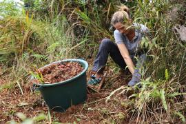 chantier_participatif_-_col_de_bellevue_-_jif_2023_c_parc_national_de_la_reunion_-_laurence_peyre_58.jpg