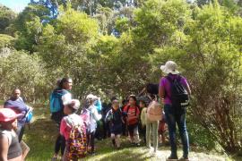 sortie-pren-beaumont_c_parc_national_de_la_reunion_-_laetitia_aubry_2.jpg