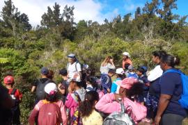 sortie-pren-beaumont_c_parc_national_de_la_reunion_-_laetitia_aubry_27.jpg