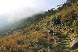 cirque_mafate_col_des_boeufs_escalier_vers_oratoire.jpg