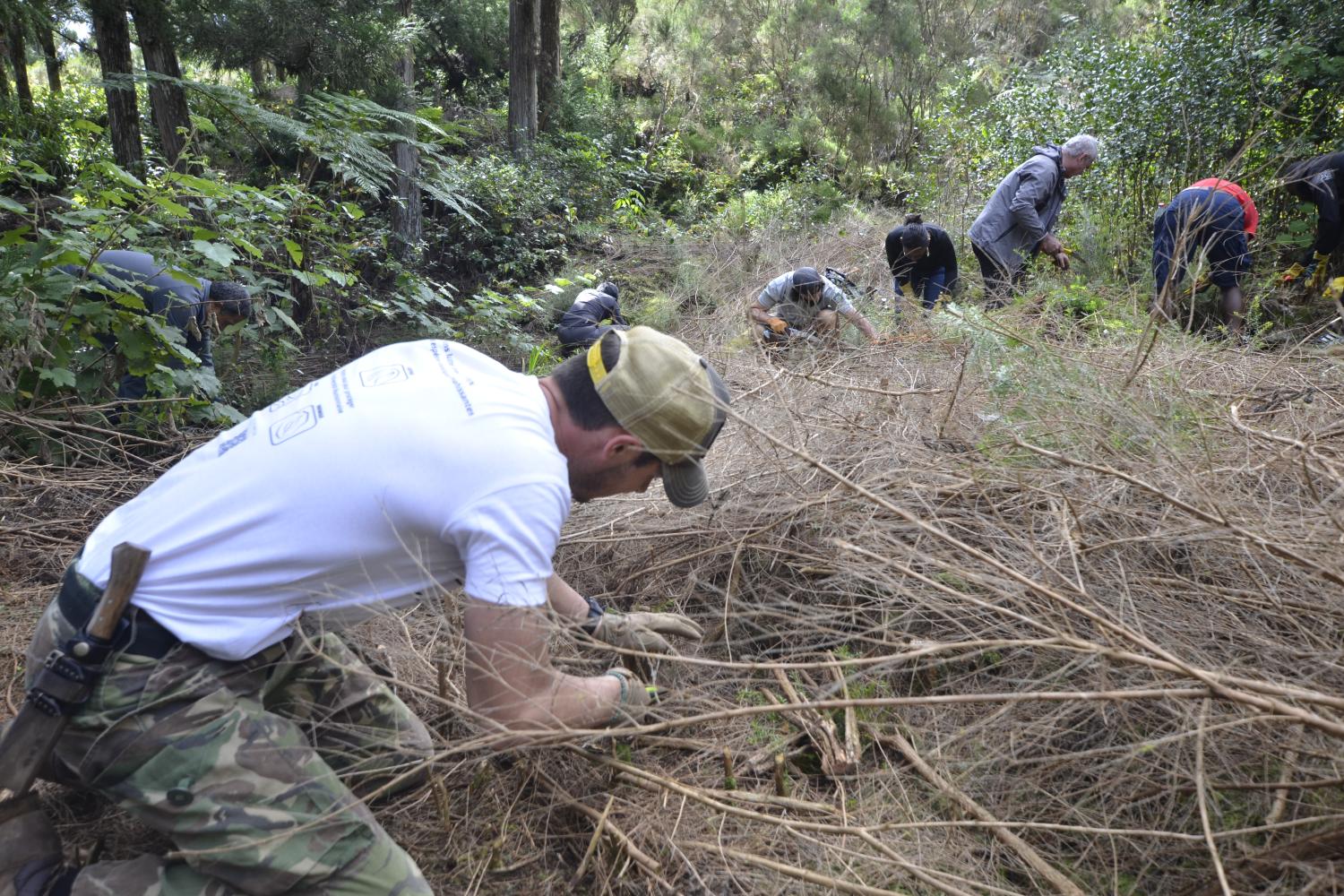 Chantier de lutte Mamode camp © Parc national de La Réunion