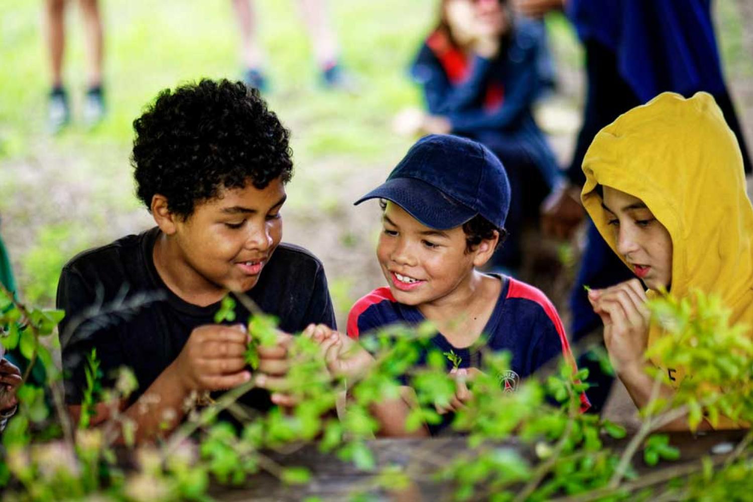 Les élèves de l'école de Marla s'informent sur les plantes et leurs usages 