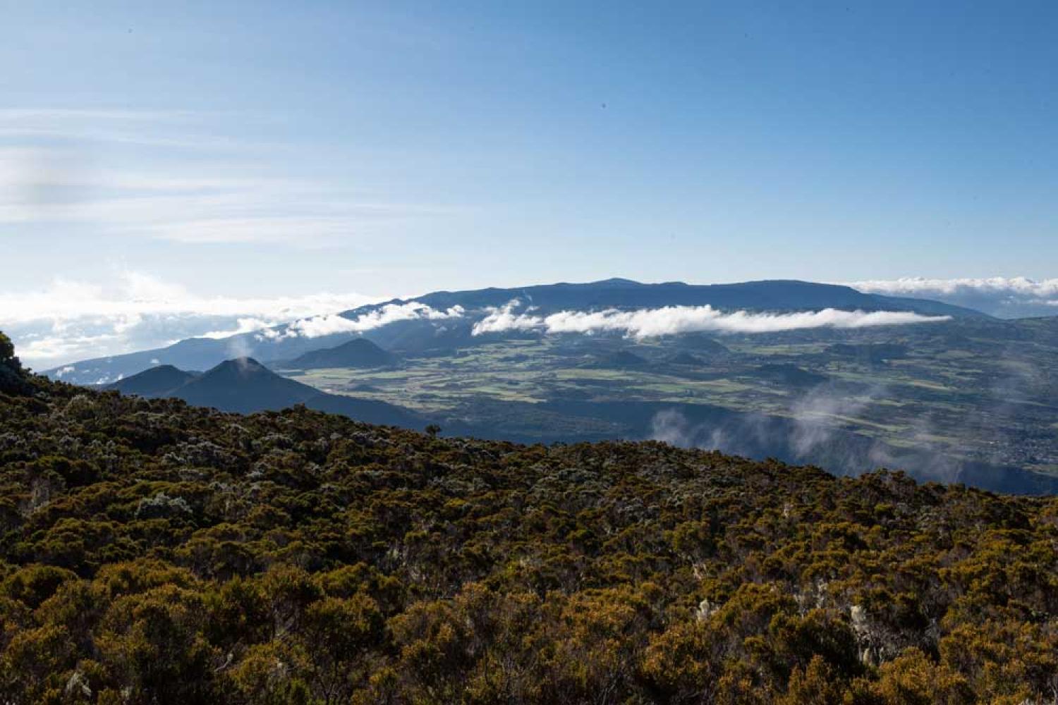 Vue sur la chaîne des pitons du sentier Jacky Inard 