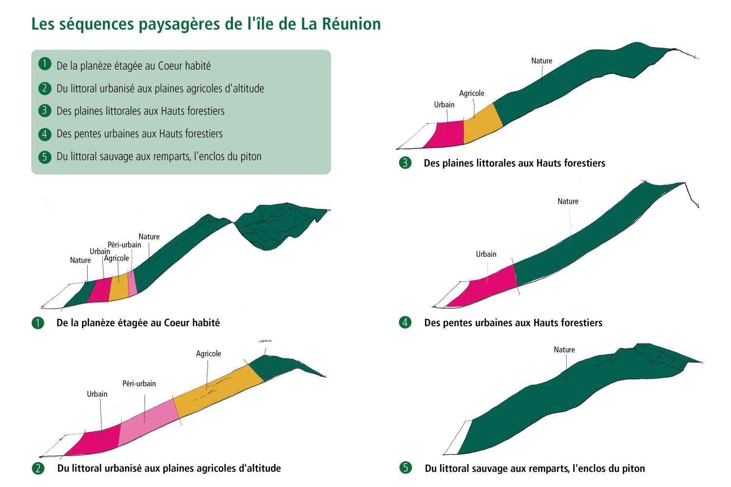 Schéma Plan Paysage