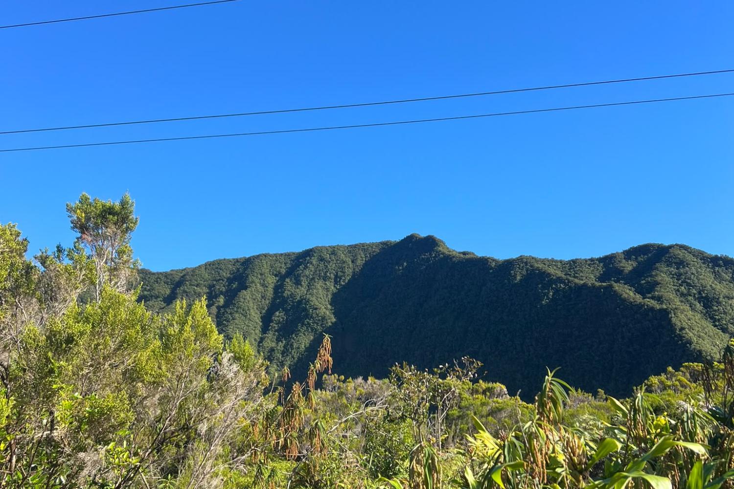 La Pandanaie