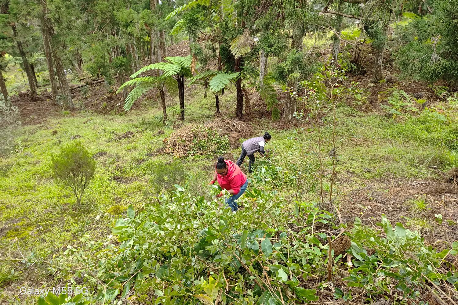 Mamode Camp