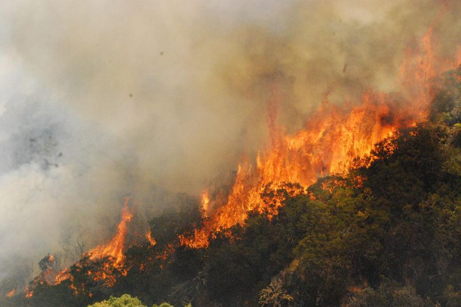 Ile de la Réunion, terre de feu et de nature